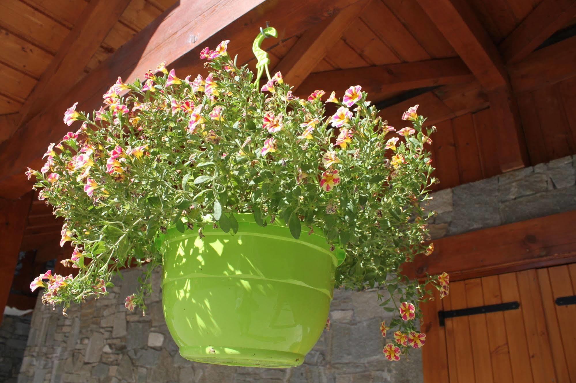 Residence Chalet De L'Adonis Saint-Martin-de-Belleville Dış mekan fotoğraf